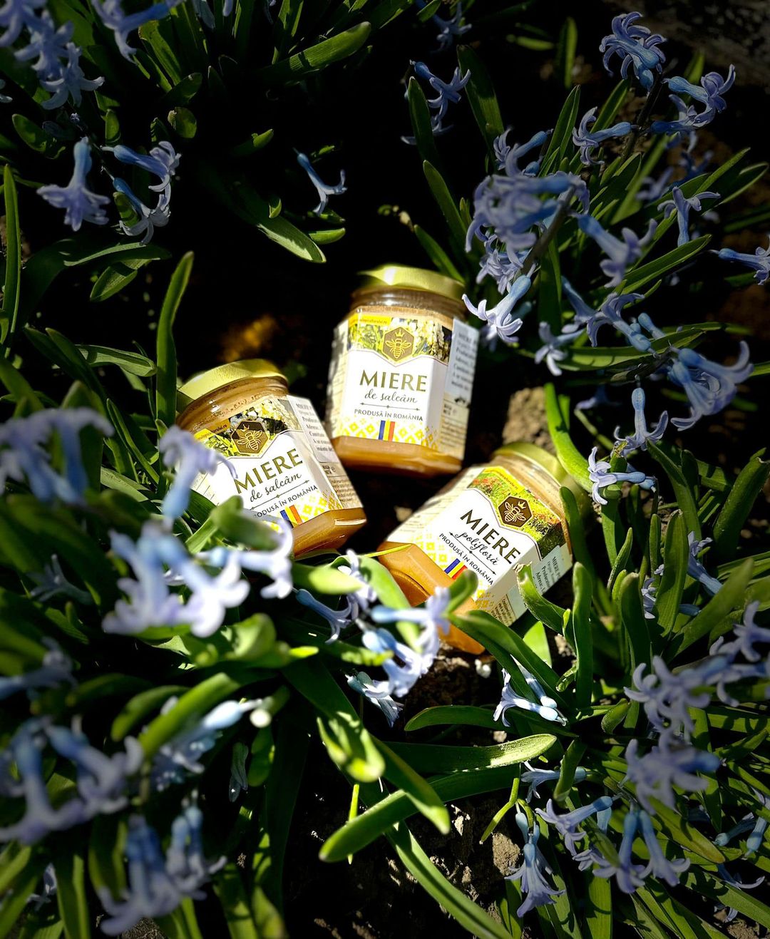 Polyflora honey 250 gr
